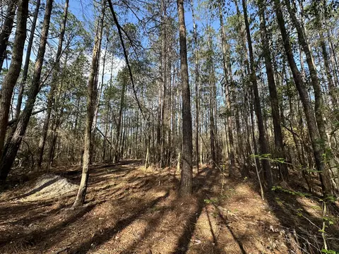lot E Snider Ave, Other, AL photo 2