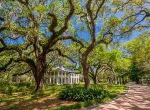 lot20 Little Canal Dr, Santa Rosa Beach, FL 32459