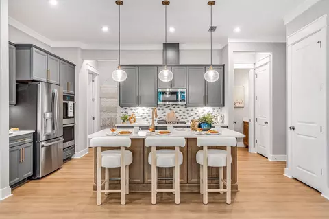 Kitchen - 359 A Suwannee Dr # 66A, Watersound, FL 32461 photo 6 of 6