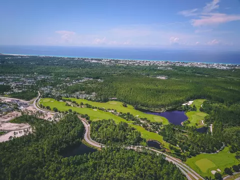 View/Area - 467 Pollard Cv E #LOT 106, Watersound, FL 32461 photo 12 of 12