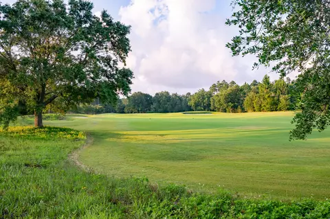 Other - 467 Pollard Cv E #LOT 106, Watersound, FL 32461 photo 6 of 10