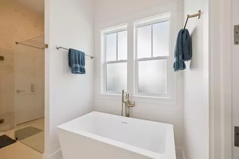 Bath - 203 E Firethorn Cir, Watersound, FL 32461 photo 2 of 6