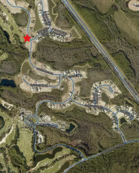 lot80 Windsong Dr, Inlet Beach, FL 32461