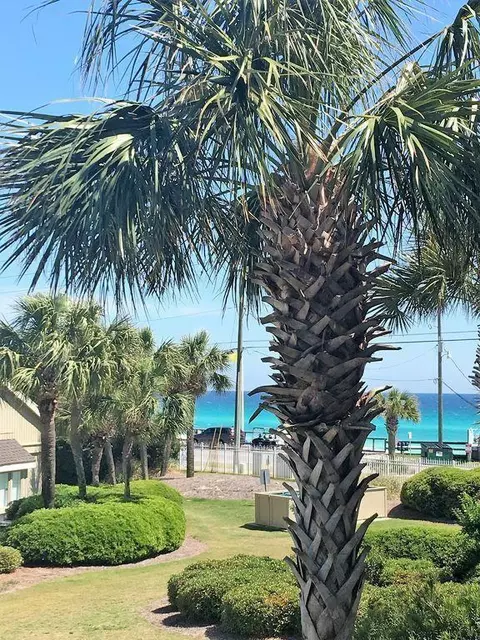 86 S Driftwood Bay UNIT 162, Miramar Beach, FL 32550