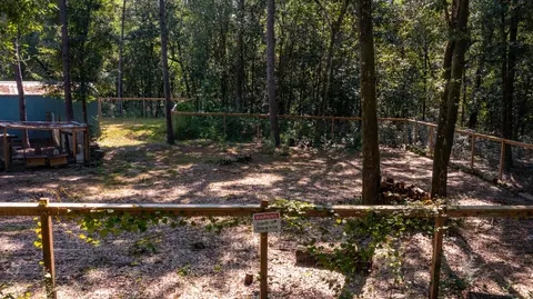 tbd Rossen Cv, Baker, FL 32531 photo 28