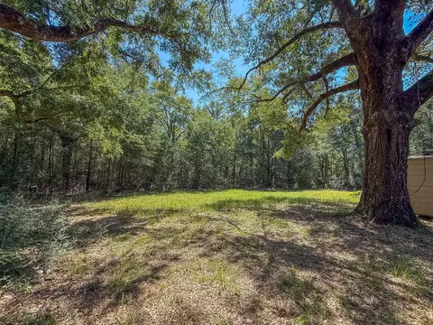 Exterior - 5703 Old River Rd, Baker, FL 32531 photo 13 of 16