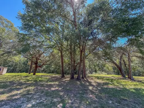 Exterior - 5703 Old River Rd, Baker, FL 32531 photo 10 of 16