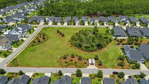 View/Area - 90 Basal St, Inlet Beach, FL 32461 photo 6 of 7