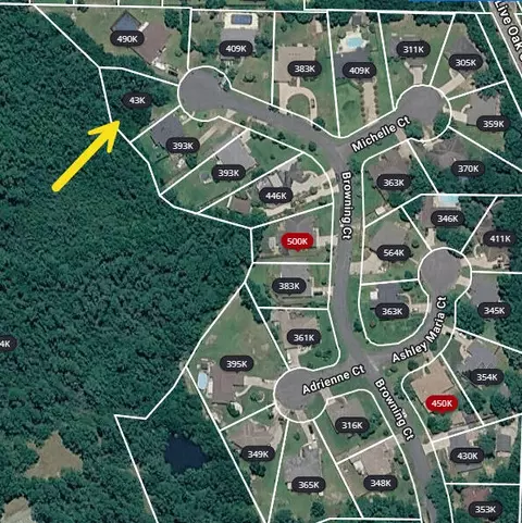 4672 Browning Ct #LOT 11, Crestview, FL 32539