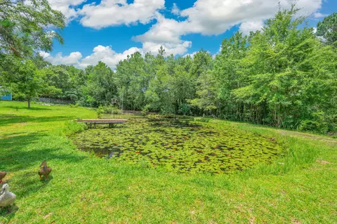 Other - 110 Eagle Ct, Crestview, FL 32539 photo 8 of 12