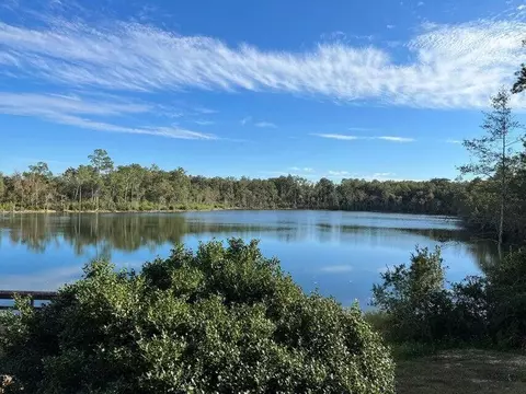 lot8 Flywheel Ln, Chipley, FL 32428 photo 11