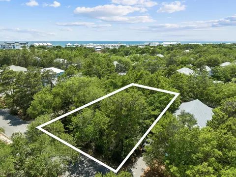 255 Clareon Dr, Inlet Beach, FL 32461 photo 4