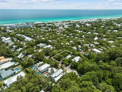 255 Clareon Dr, Inlet Beach, FL 32461