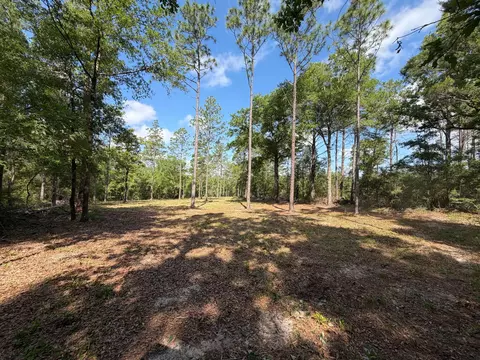 0 Laird Rd, Crestview, FL 32539 photo 19