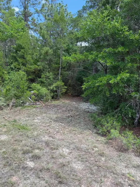 0 Laird Rd, Crestview, FL 32539 photo 37