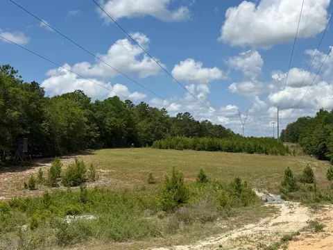 0 Laird Rd, Crestview, FL 32539 photo 2