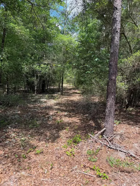 0 Laird Rd, Crestview, FL 32539 photo 20