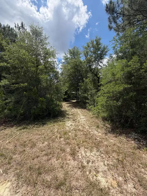 0 Laird Rd, Crestview, FL 32539 photo 16