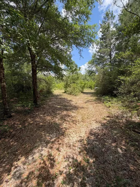 0 Laird Rd, Crestview, FL 32539 photo 11
