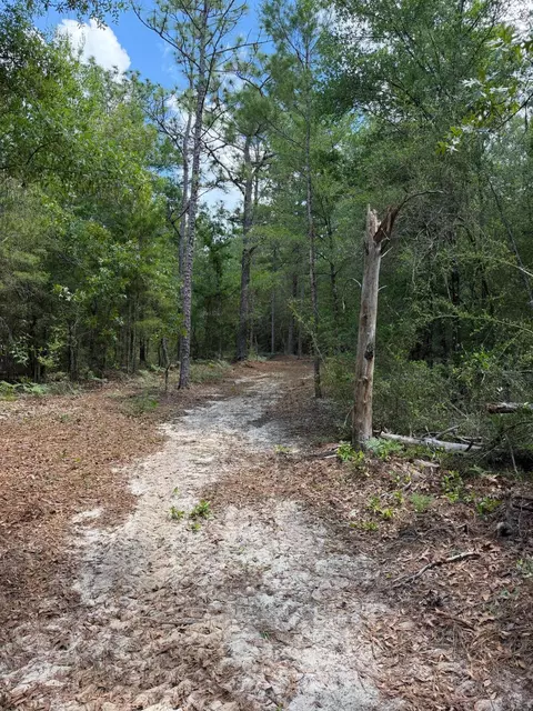 0 Laird Rd, Crestview, FL 32539 photo 21