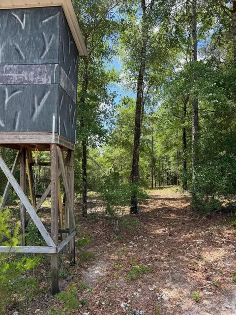 0 Laird Rd, Crestview, FL 32539 photo 40