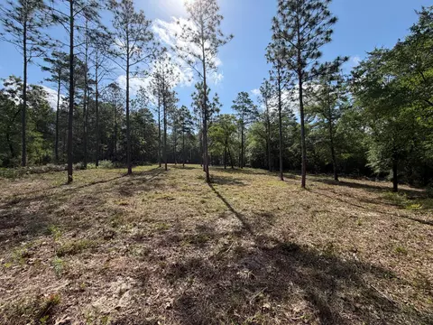 0 Laird Rd, Crestview, FL 32539 photo 6