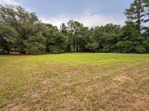 000 Old River Rd, Baker, FL 32531 photo 3