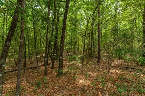 5 31 Ac Nn John Nix Rd, Crestview, FL 32539 photo 5