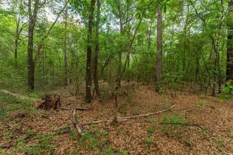 5 31 Ac Nn John Nix Rd, Crestview, FL 32539 photo 6
