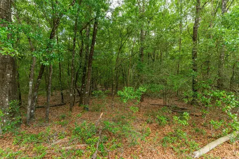 5 31 Ac Nn John Nix Rd, Crestview, FL 32539 photo 7