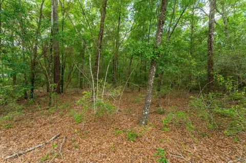 5 31 Ac Nn John Nix Rd, Crestview, FL 32539 photo 8