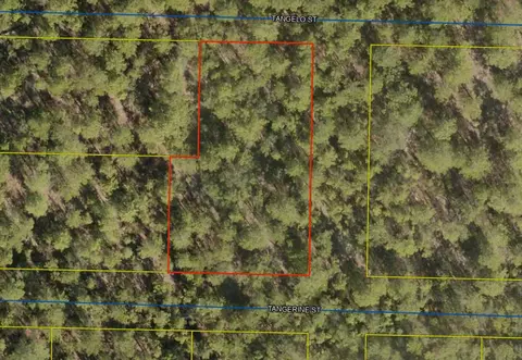 lot S 42-50 Tangerine St, Defuniak Springs, FL 32433