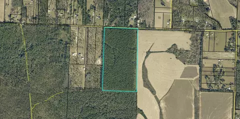 0 Melton Rd, Baker, FL 32531 photo 5