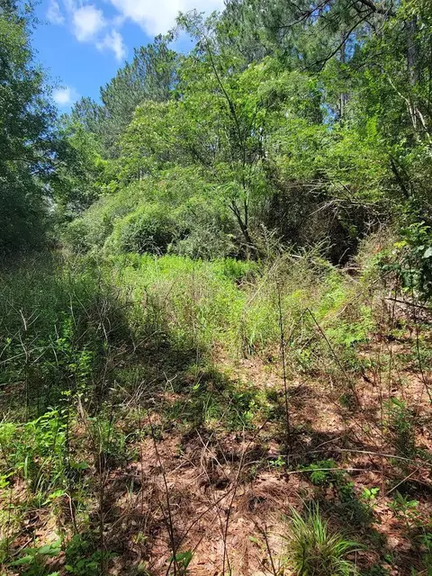 0 Melton Rd, Baker, FL 32531 photo 2