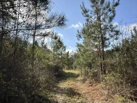 15 5-ac Snider Ave, Other, AL