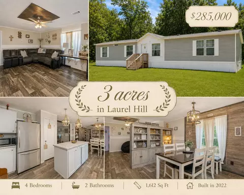 3984 1st Ave, Laurel Hill, FL 32567