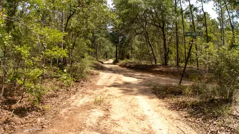 0 Homestead Rd, Baker, FL 32531 photo 25