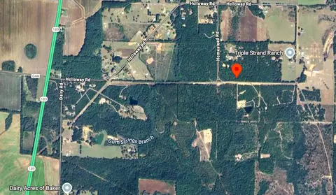 0 Homestead Rd, Baker, FL 32531 photo 11