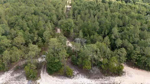 0 Homestead Rd, Baker, FL 32531 photo 5