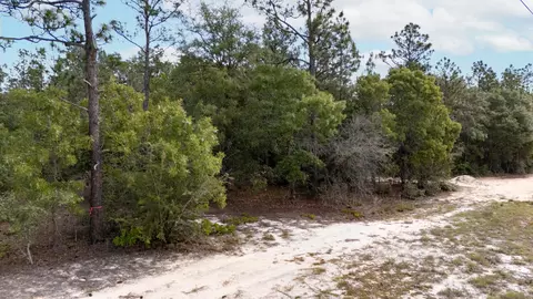 0 Homestead Rd, Baker, FL 32531 photo 19