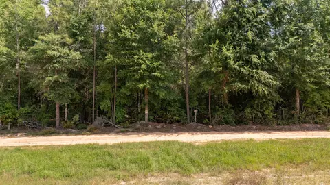0 Homestead Rd, Baker, FL 32531 photo 21
