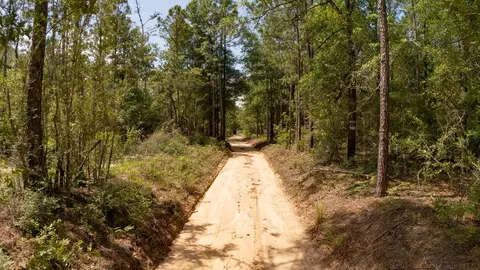 0 Homestead Rd, Baker, FL 32531 photo 24