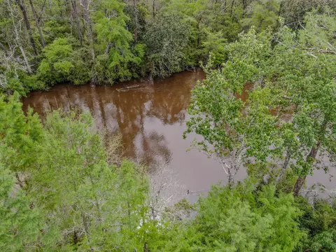 View/Area - 264 Johns Ln, Freeport, FL 32439 photo 4 of 5