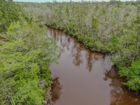 View/Area - 264 Johns Ln, Freeport, FL 32439 photo 3 of 5