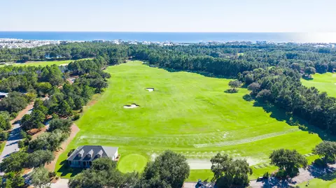 View/Area - 71 Norman Ct, Watersound, FL 32461 photo 4 of 5