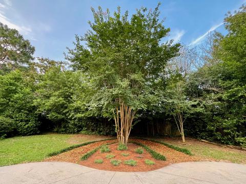 Exterior - 4683 Lovegrass Ln, Crestview, FL 32539 photo 2 of 2