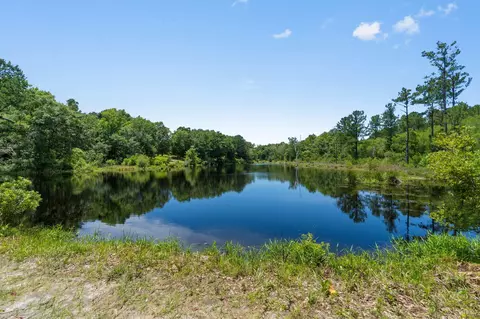 View/Area - 370 Mango Ln, Freeport, FL 32439 photo 12 of 25