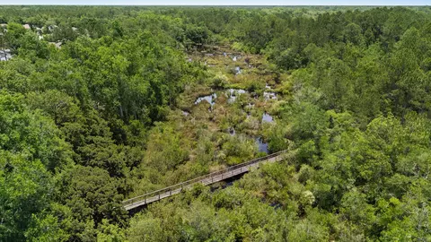 View/Area - 370 Mango Ln, Freeport, FL 32439 photo 13 of 25