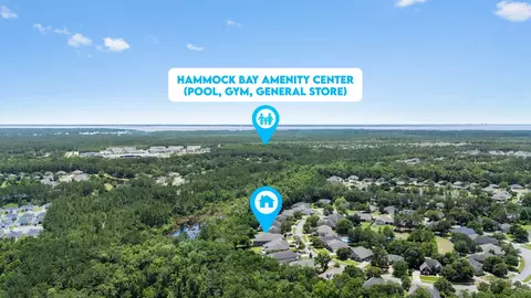 View/Area - 370 Mango Ln, Freeport, FL 32439 photo 7 of 25