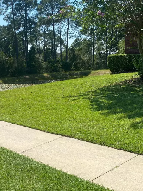 Exterior - 421 Swift Fox Run, Crestview, FL 32536 photo 6 of 6